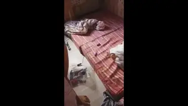 Adegan Mesum Di Dalam Kamar Pacar Cantik